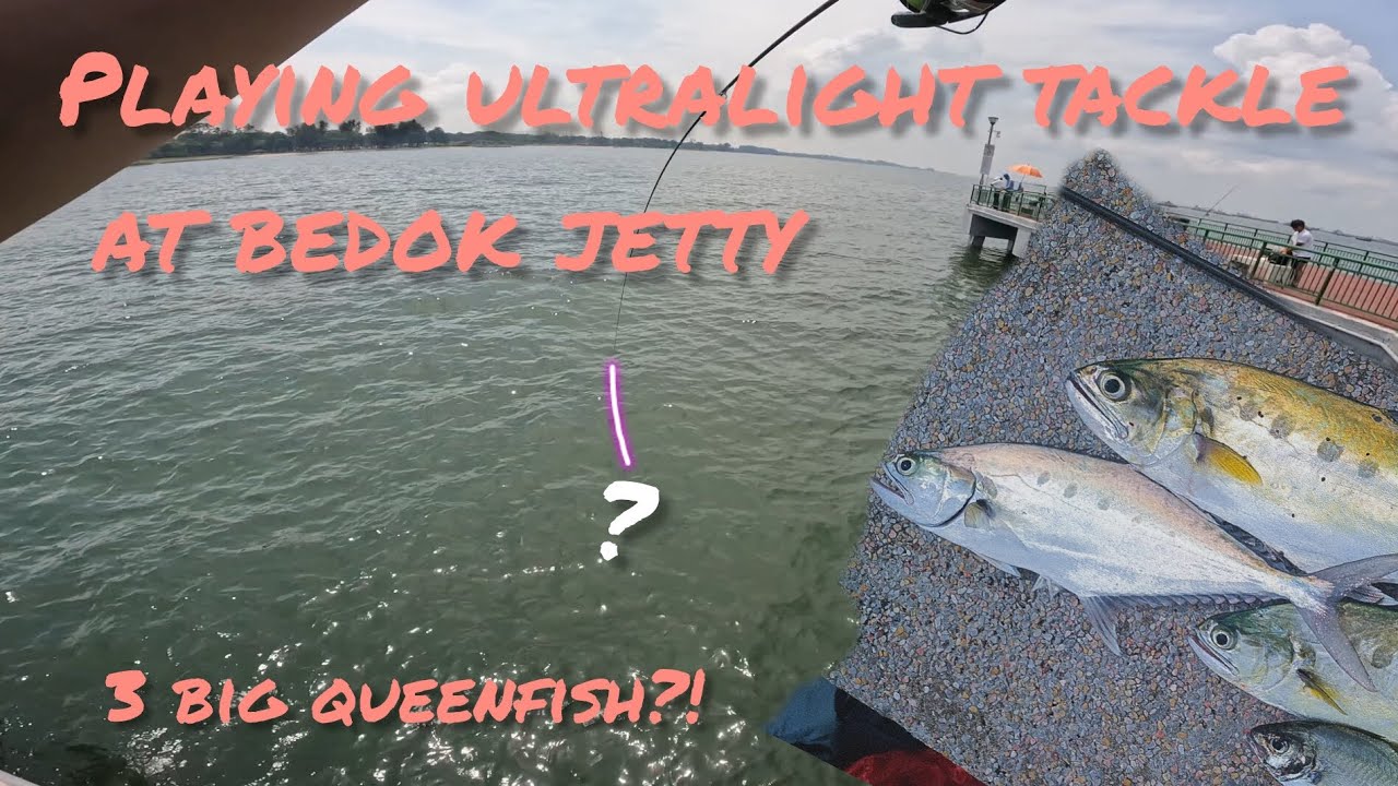 I went to Bedok Jetty for light tackle fun (Gone successful) | Singapore Fishing |