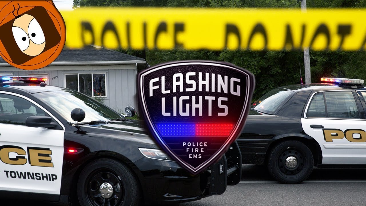 FLASHING LIGHTS : LA MEILLEURE SIMU POLICE ? 👍 #RP