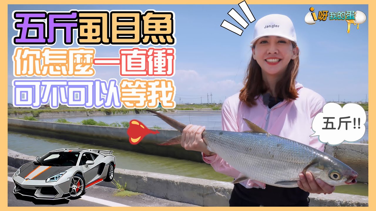 【釣魚小益思】五斤的虱目魚  像極了法拉利  怎麼釣完手都在抖  #釣蝦 #i呀我的蛋 #新聞 #主播 Shrimpfishing  エビ釣り  새우 낚시
