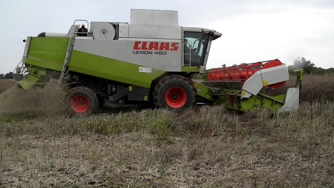 claas lexion 460 z bliska w akcji żniwa 2011 (dolnośląskie)