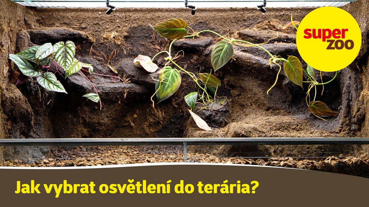 Osvětlení do terária | EXO TERRA