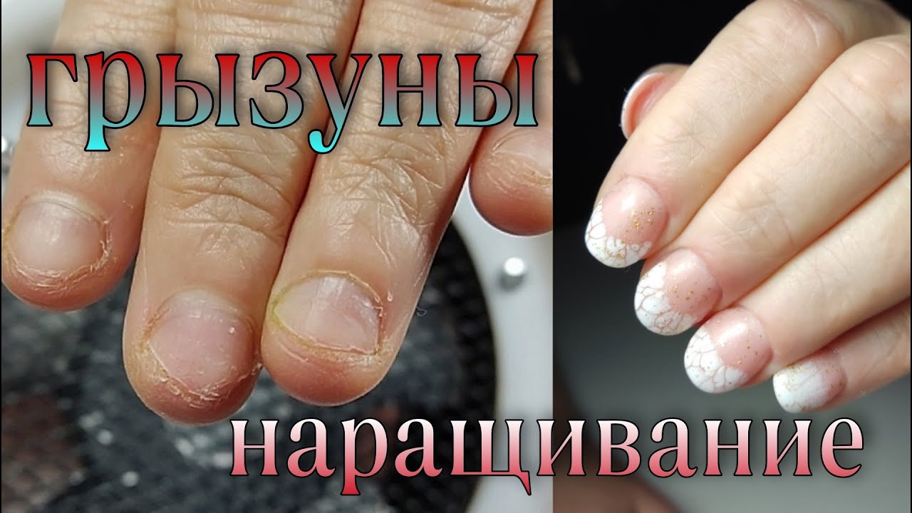 🐭ГРЫЗУНЫ/ наращивание на верхние формы