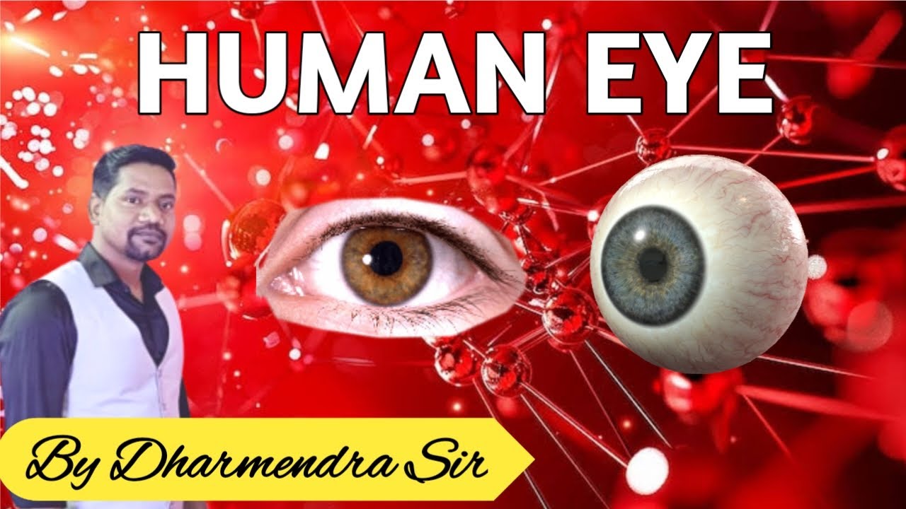 Human Eye, For SSC-GD, CHSL, CGL, MTS, Railway Group D # Dharmendra Sir