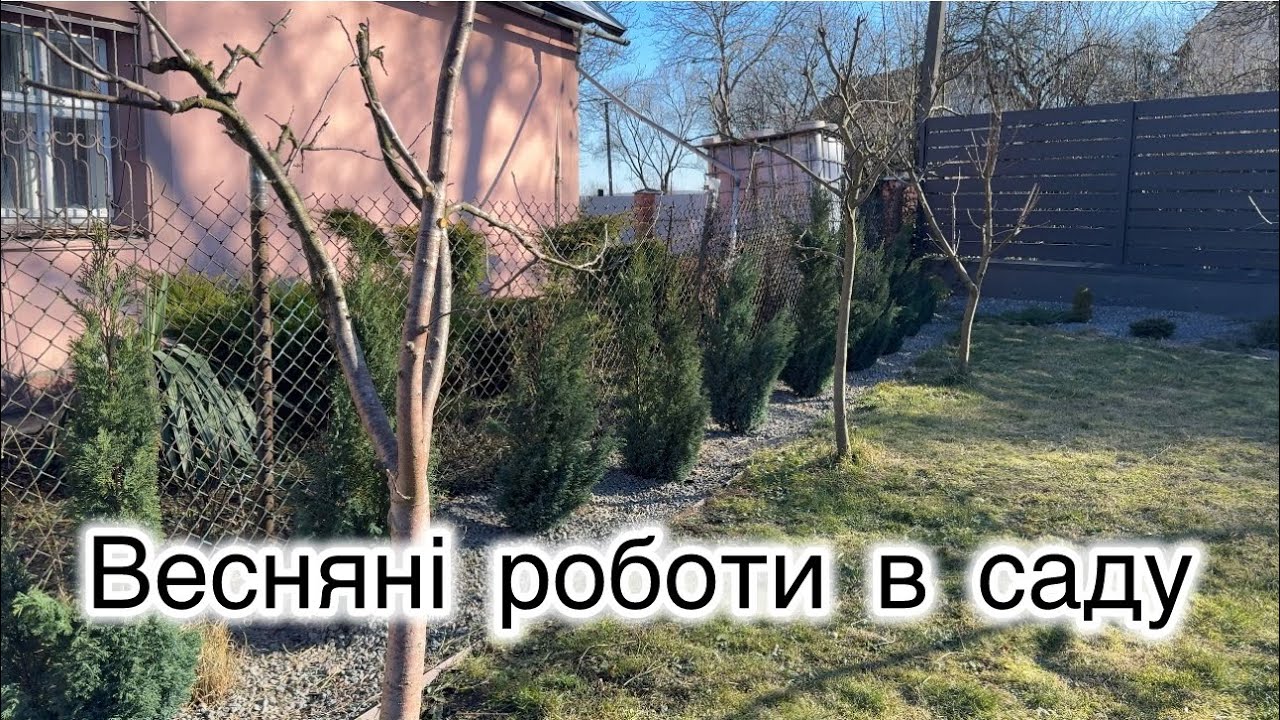 ПОЧАТОК САДОВОГО СЕЗОНУ👌Весняні роботи в саду 💐Обрізка дерев і злаків✔️Частина 1
