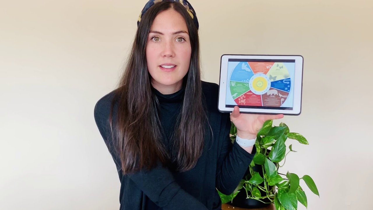 Early Learning Virtual Classroom: 7 Seasons of the Kulin Nation