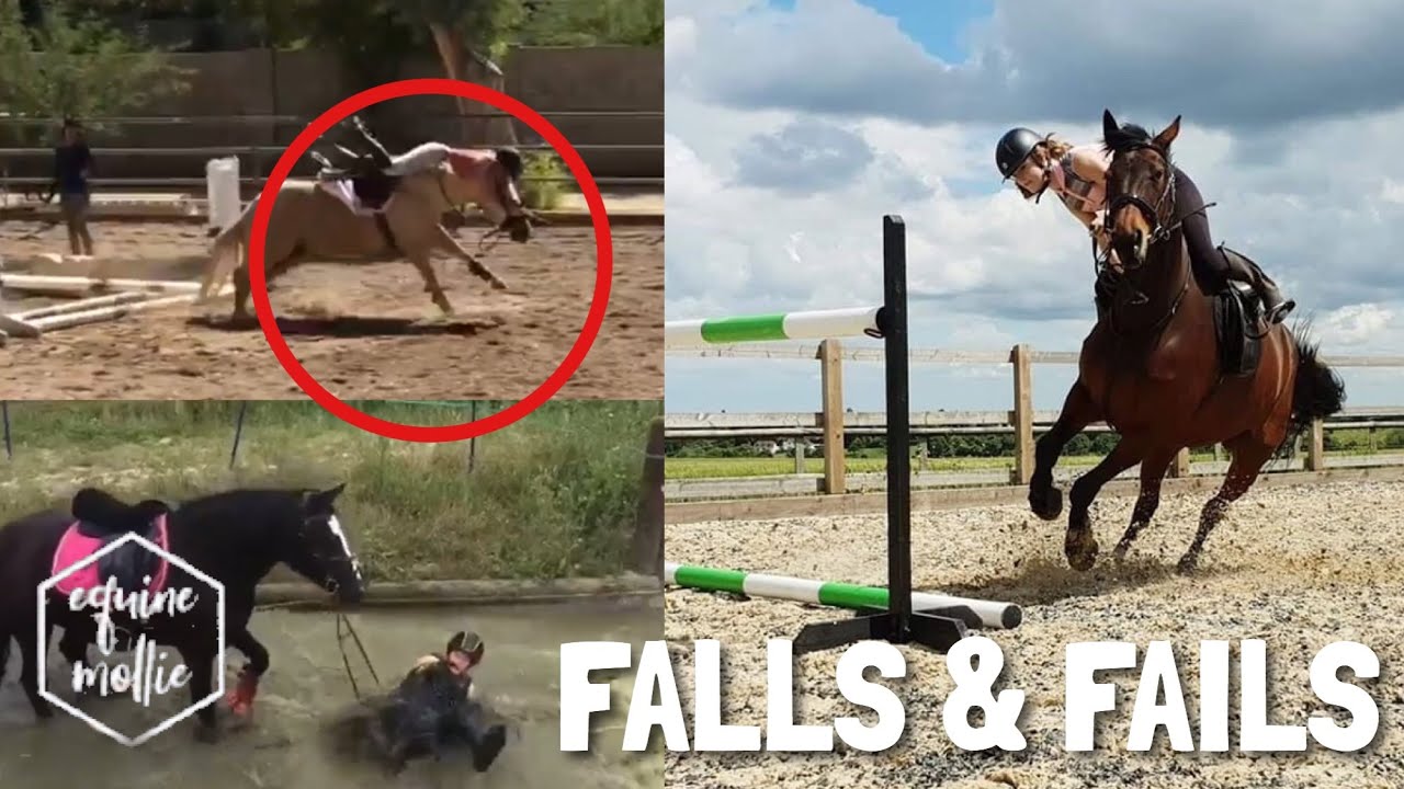 horse FALLS & FAILS | Subscriber Edition