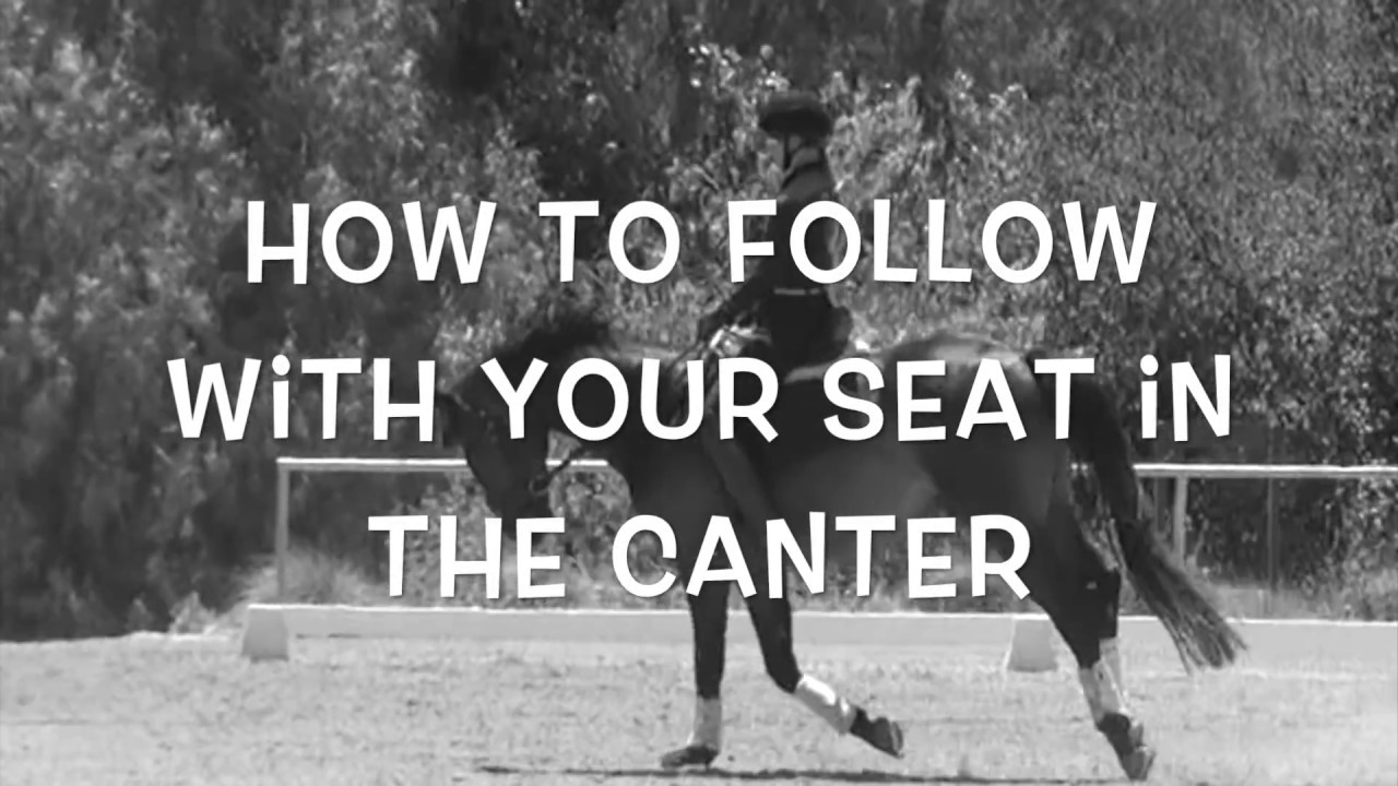 How to use your seat in the canter