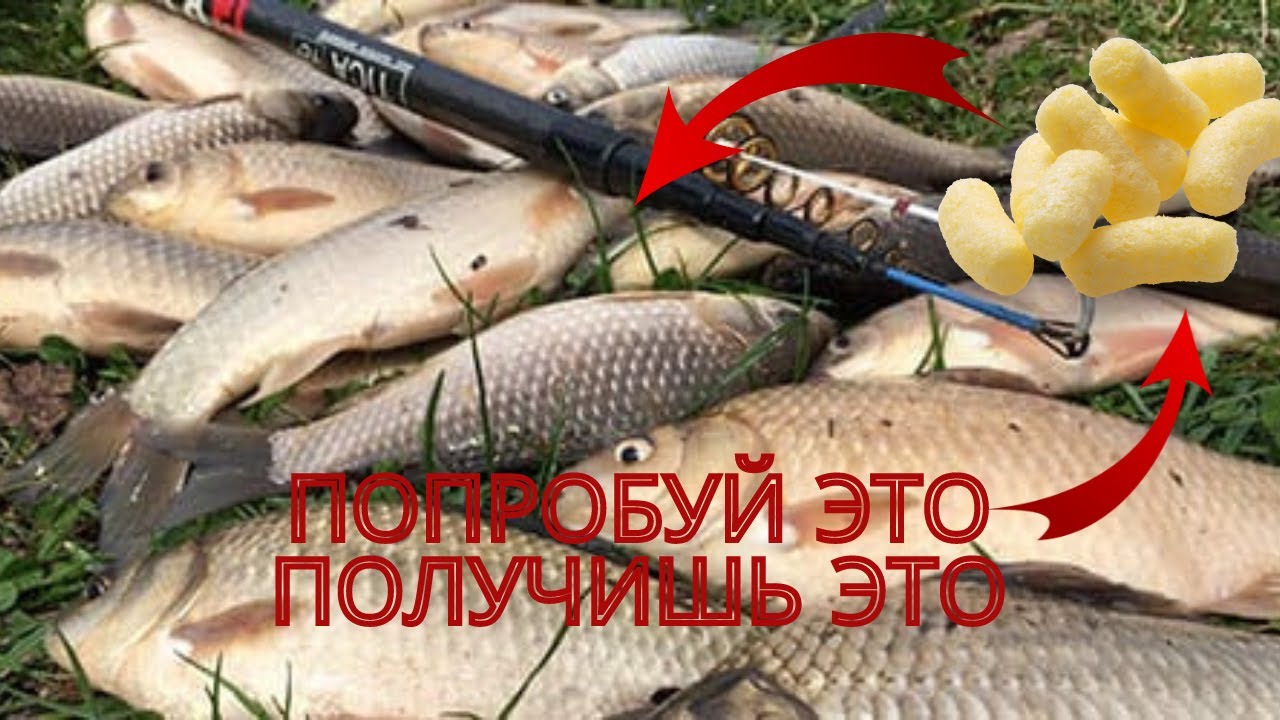 Насадка из кукурузных палочек, даже Карась и Линь не устоят!