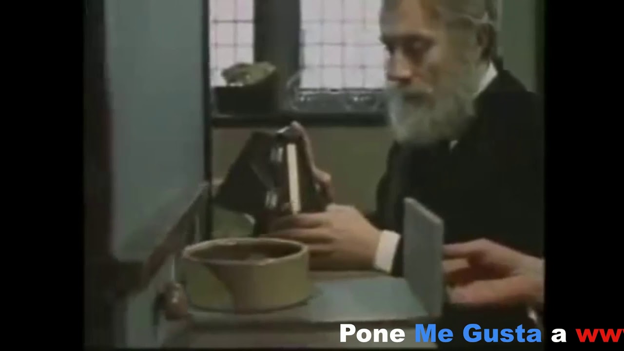 Experimento de Pavlov: Suena la campana y los perros salivarán. Conductismo.