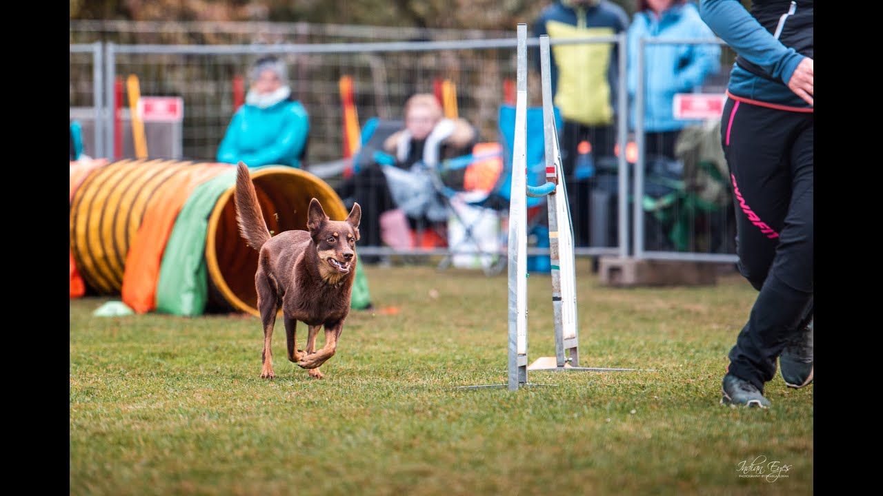Limit - Agility Seminar with Roland Kolenko