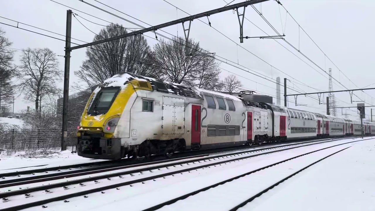 Quelques trains à Schaerbeek et Hal