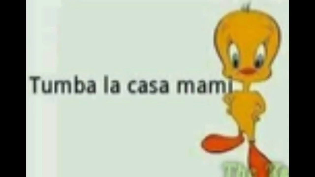 Tumba la casa mami (piolin)
