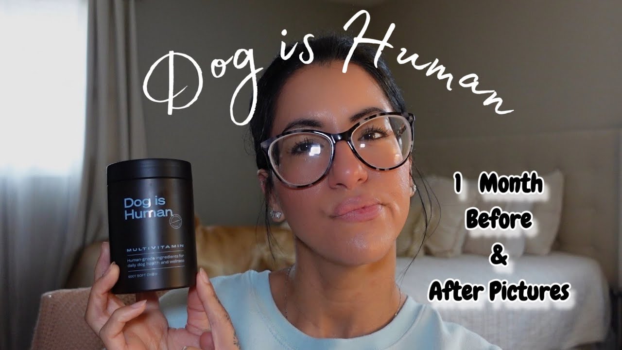 My Thoughts on Dog is Human Supplement | IS THIS WORTH YOUR $$$