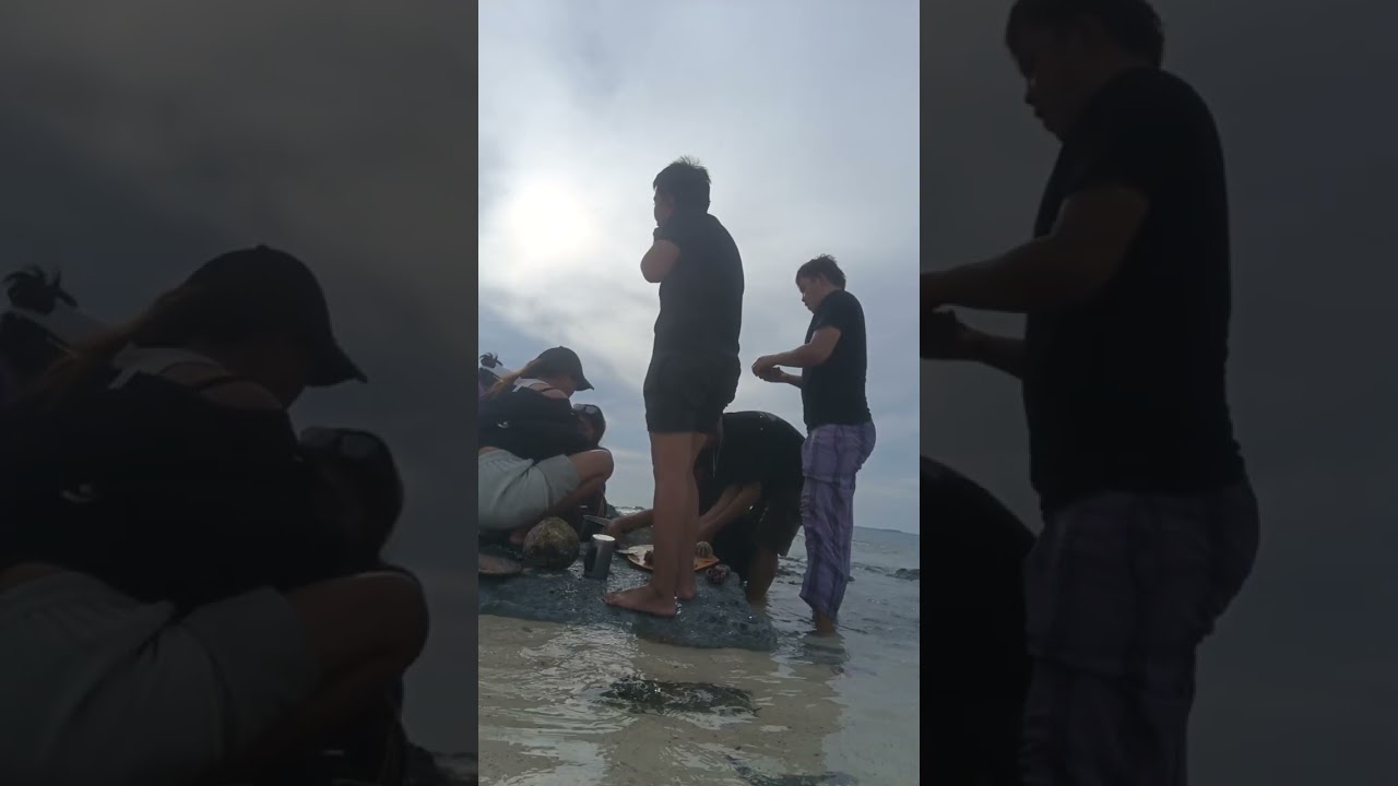 40 days video fresh seafoods