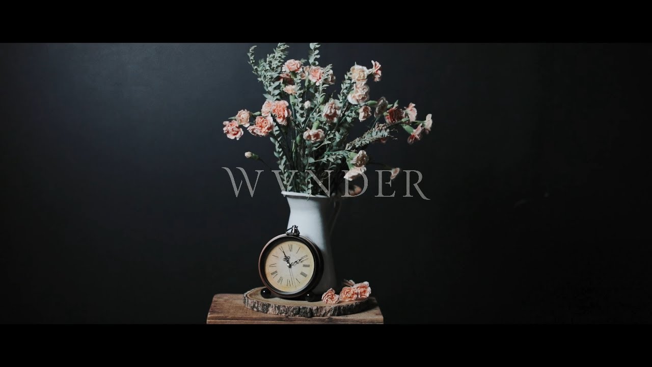 WVNDER - The Mess You Made (Official Music Video)