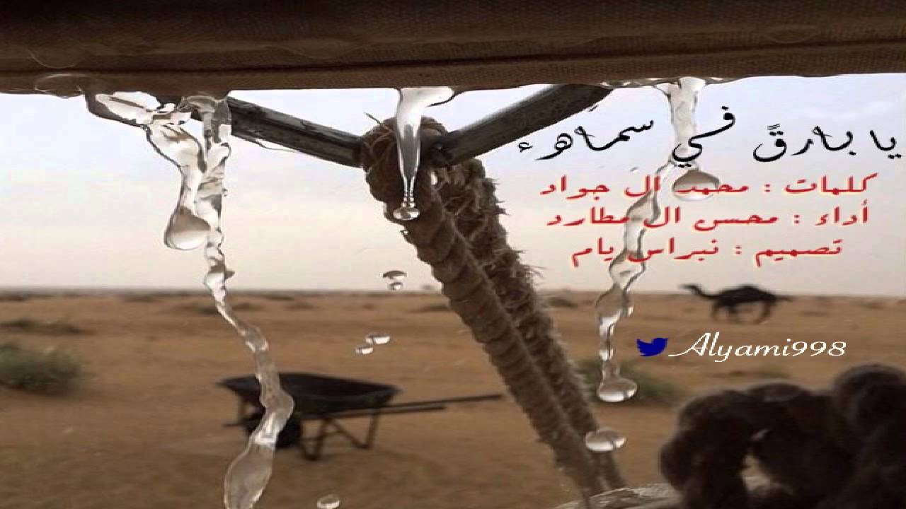 محسن ال مطارد | يابارق في سماه   ♫ ..