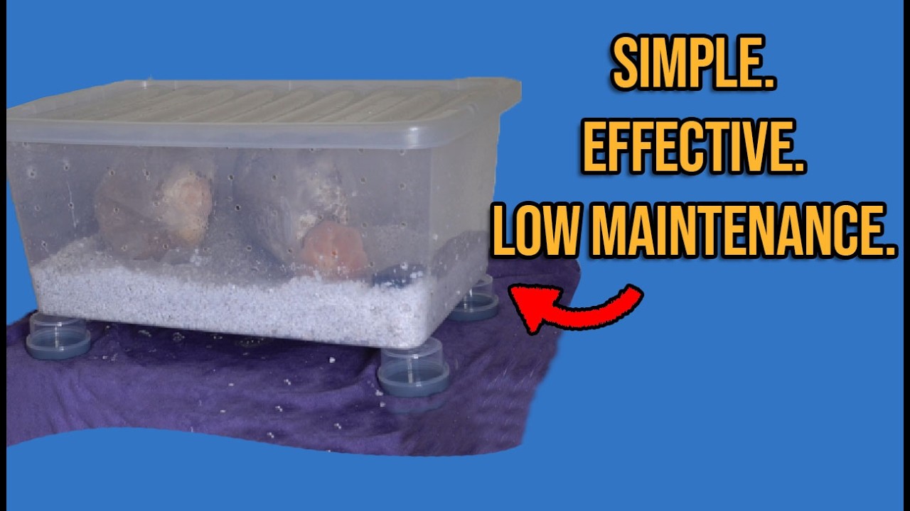 How To Make A Shotgun Fruiting Chamber (SFGC) For Tabletop Mushroom  Cultivation.