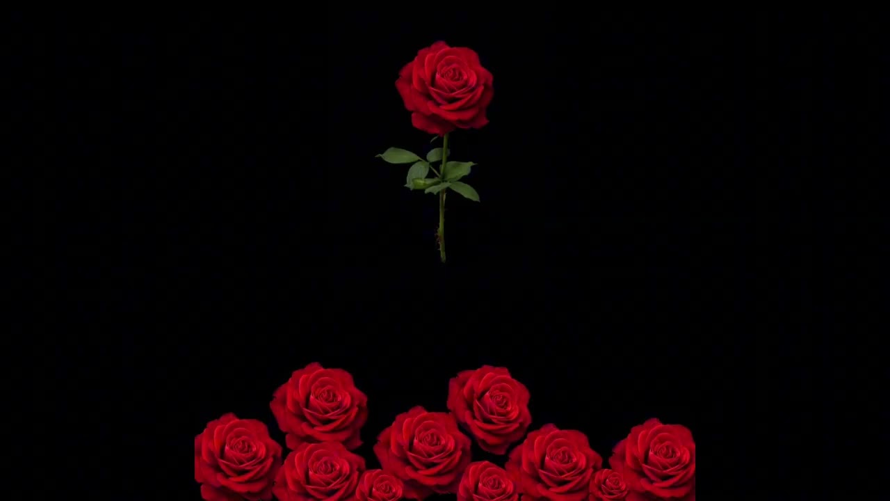 Rubio EA - Real Roses - Audio (Instrumental)