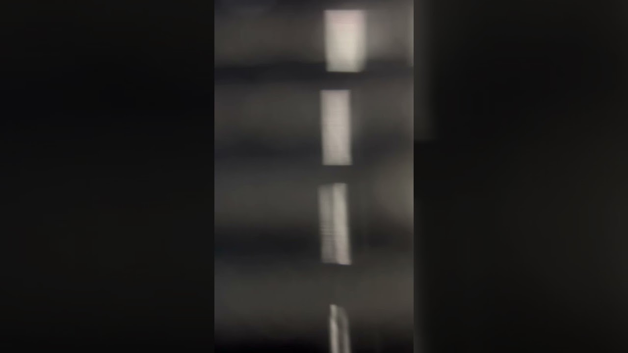 You are the new day alto part