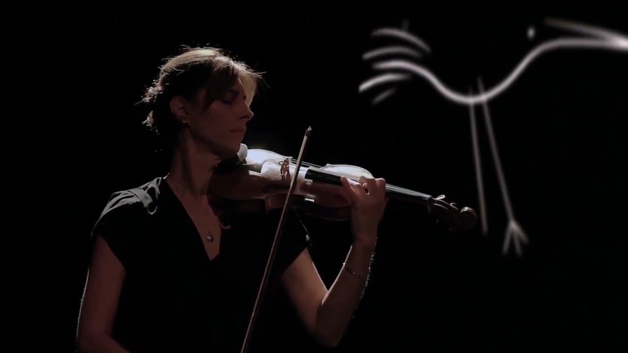 Les oiseaux fantastiques - Concert dessiné