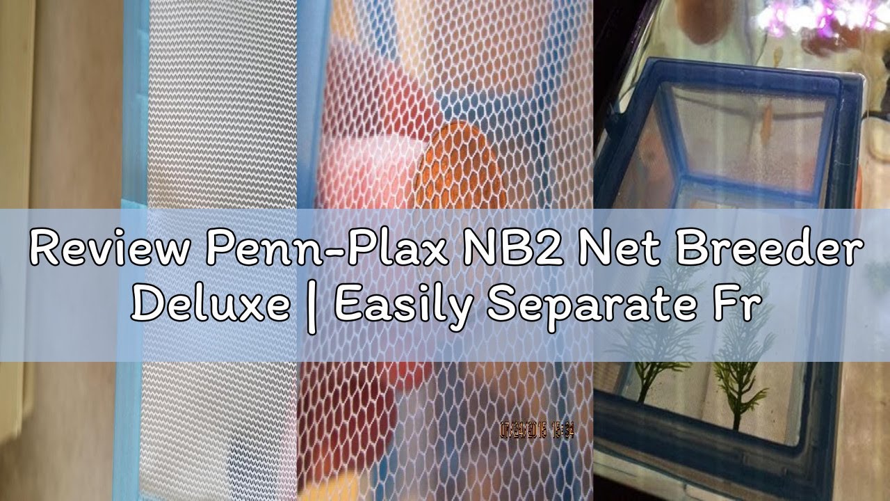 Review Penn-Plax NB2 Net Breeder Deluxe | Easily Separate Fry for Safety | Simple to Install and Adj