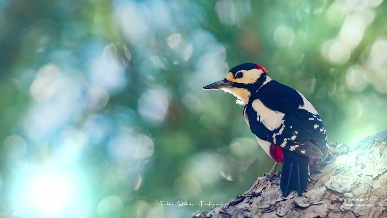 V2 BEST OF 2025 CON NOMBRES