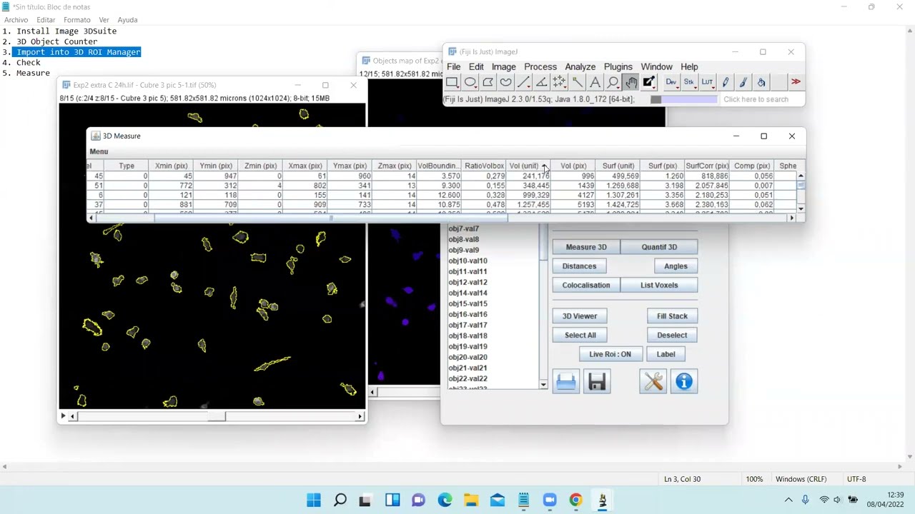 Cell Volume and morphology analysis with 3DSuite (ImageJ)