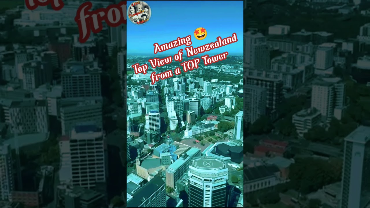Newzealand live cricket match today| ipl match| High Building| 