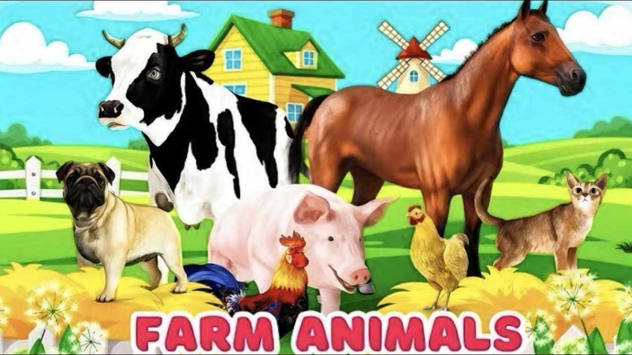 Farm animal sounds Many Farm animals : for kids Learn Many Farm animals