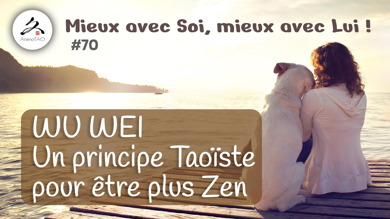 #70 Un principe Taoïste simple pour être plus Zen : WU WEI