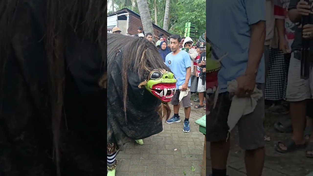 Exciting Kang Zakki, the fierce Macanan jockey, Jaranan Dewi Sekar Wangi 
