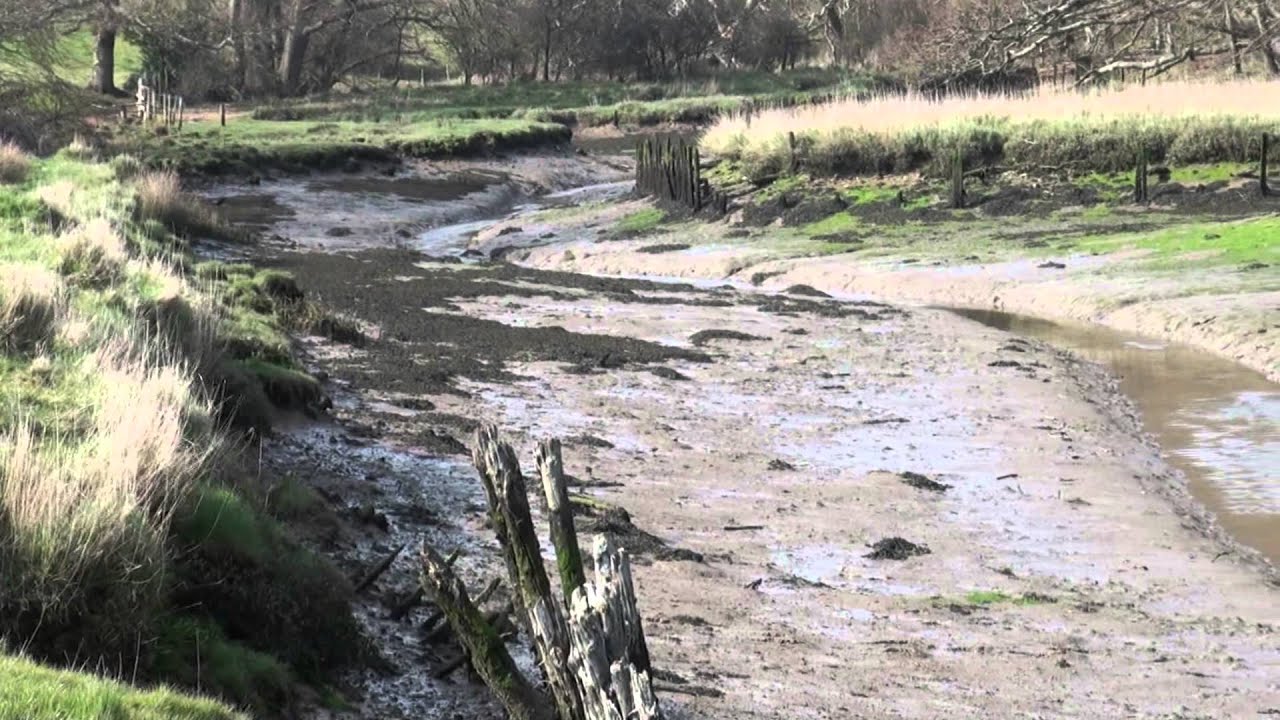 River Hamble walk