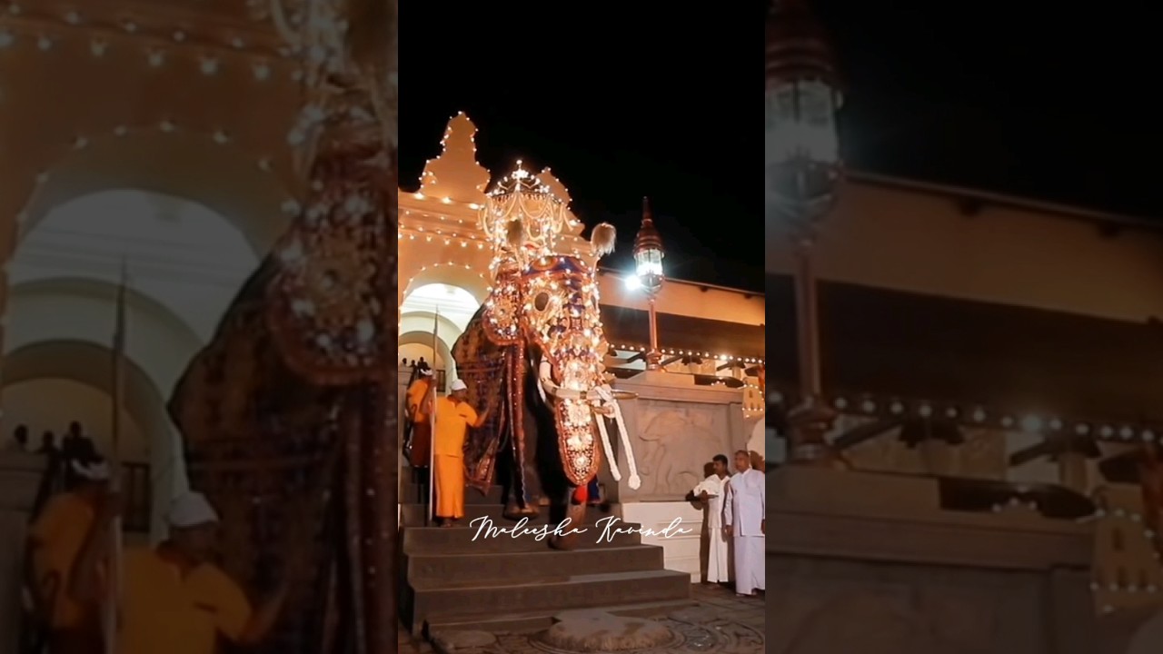 #kandy #edit #esalaperahera