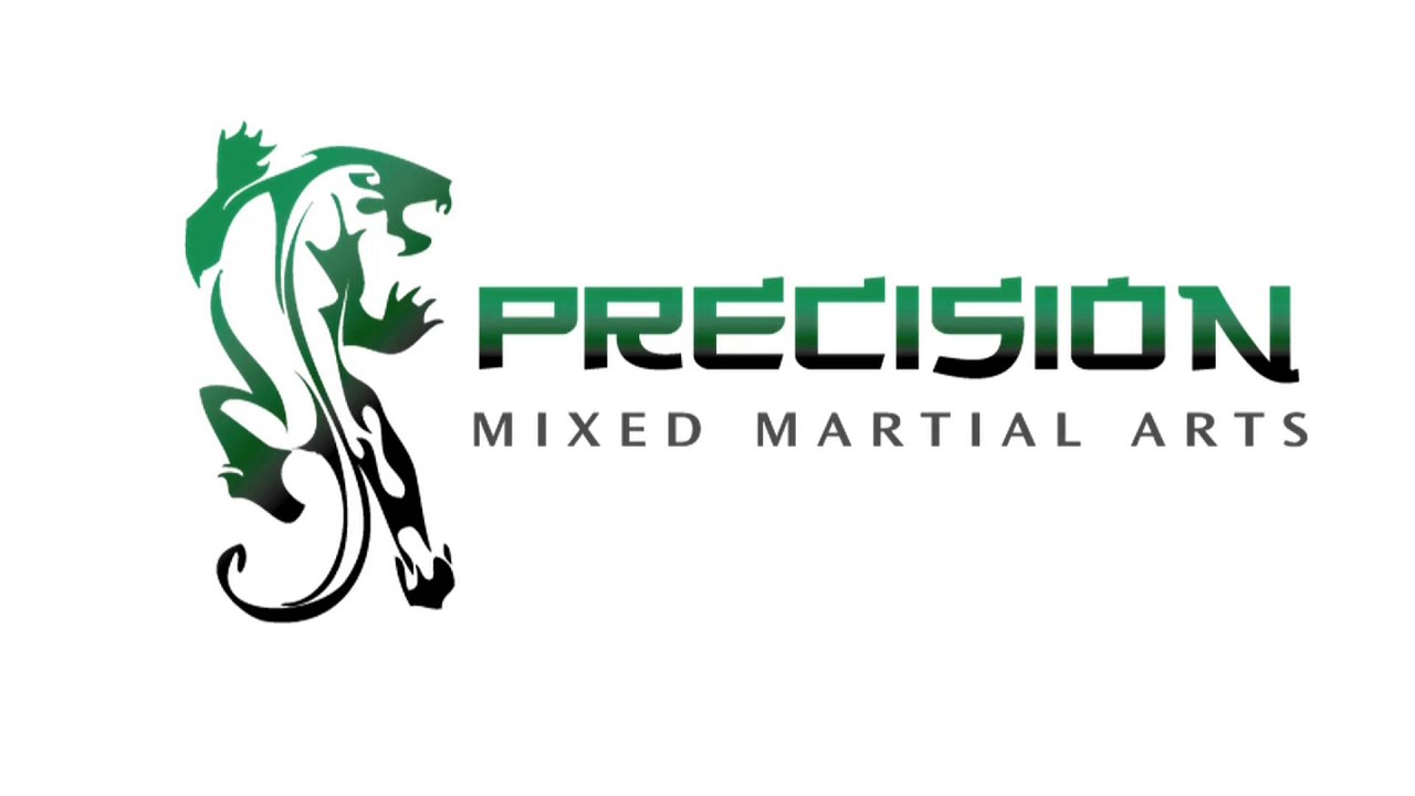 Precision Martial Arts School tour