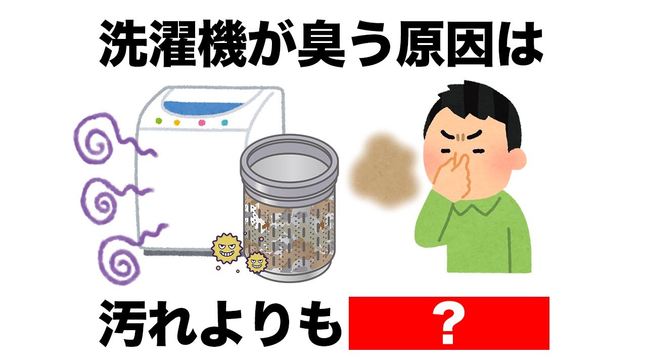 【知るだけで楽になる】ちょっと得する掃除の雑学まとめ