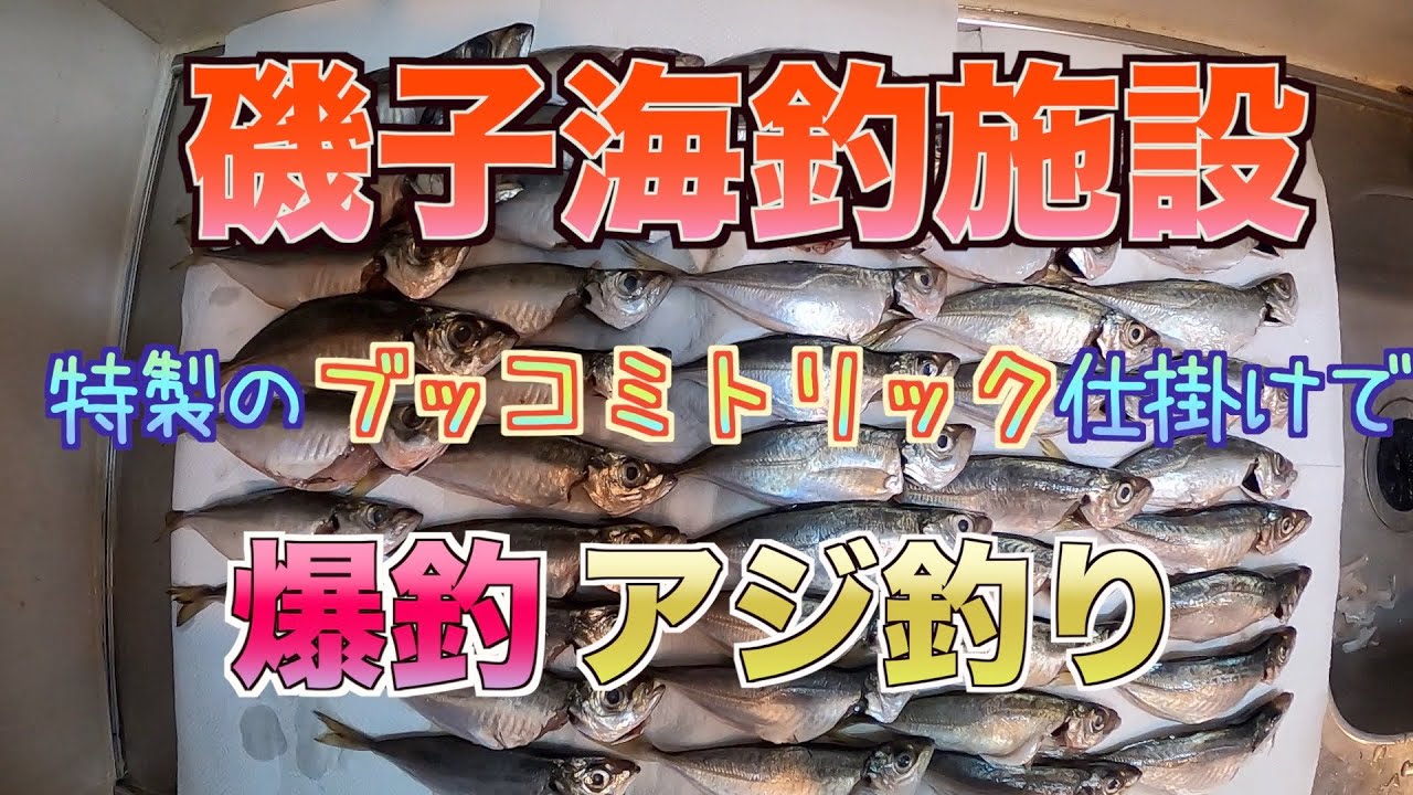 【至高のブッコミトリックサビキ完成】特製仕掛けで釣りしたらアジがひたすら入れ食いに【磯子海釣り施設】