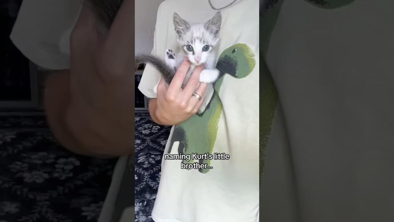 the new kittens name&hellip;