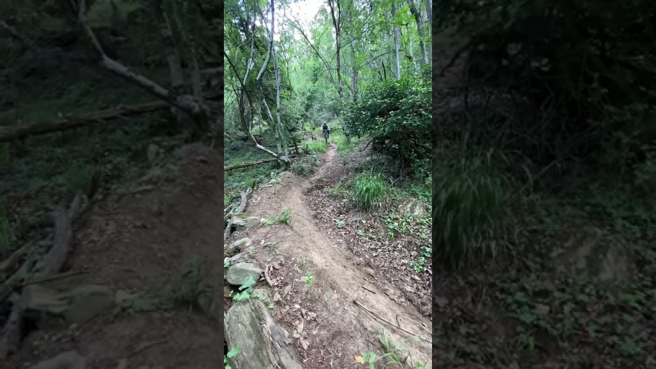 MTB BIG CRASH 