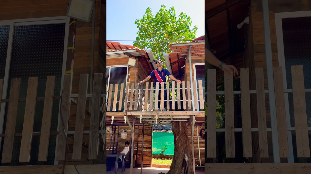 Best Tree House in Karjat 🏡 | कर्जत ट्री हाउस #treehouse #karjat #villa #shorts