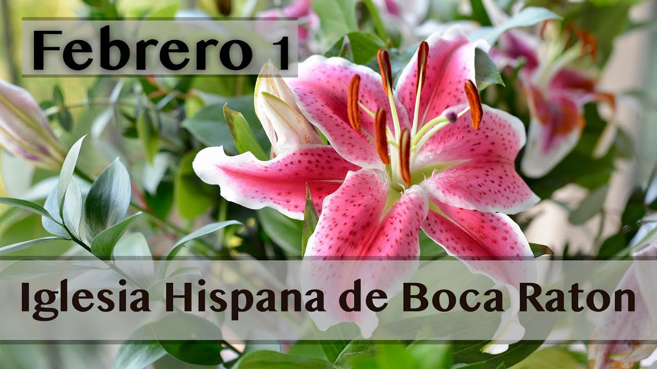 Servicio de Iglesia Hispana de Boca Raton 01/25/2025