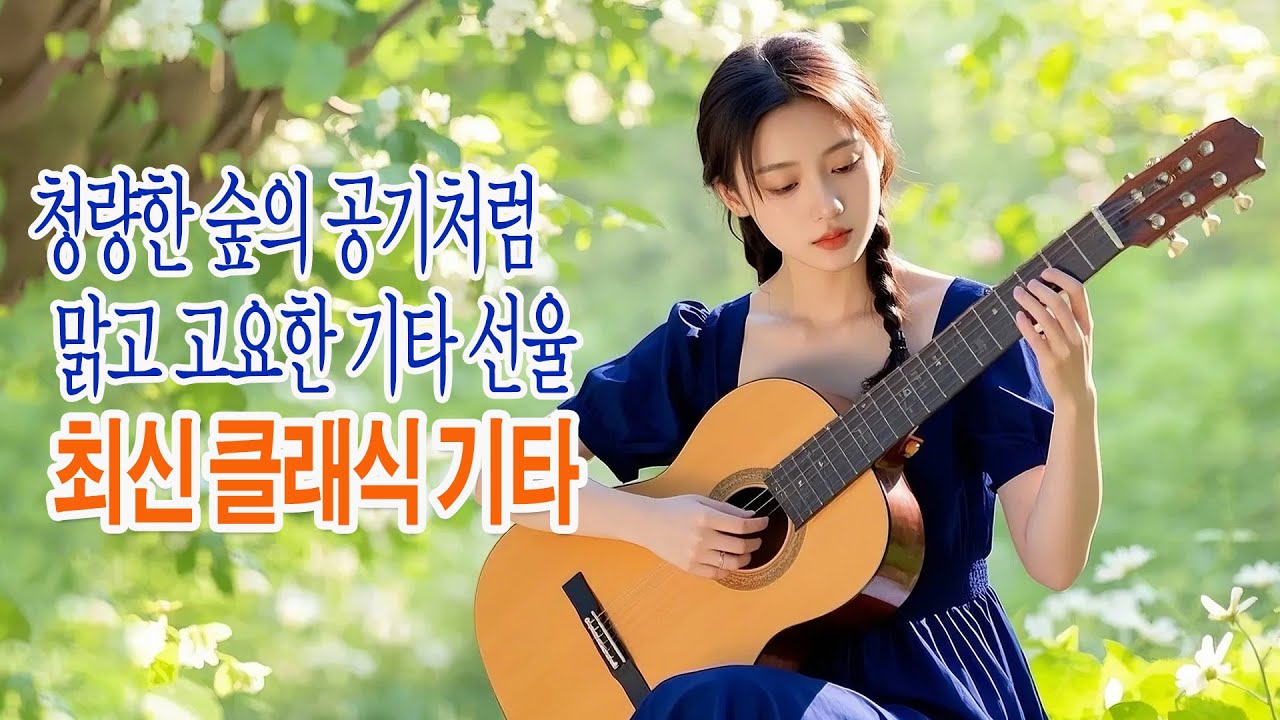 청량한 숲의 공기처럼 투명한 기타 선율 🎸 고요한 하루를 위한 클래식 기타 힐링 컬렉션.