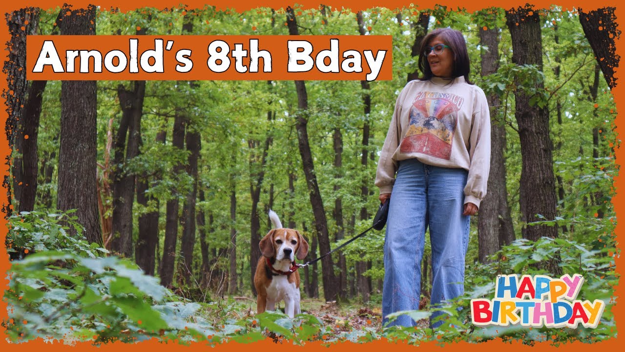 Beagle 8th Birthday! #105 | Arnold The Beagle