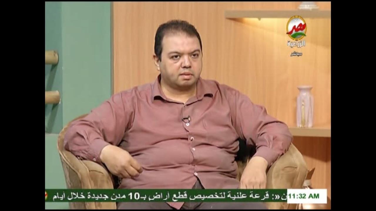 تحديات تربية النعام في مصر وسبل الحفاظ على هذه الصناعة الواعدة