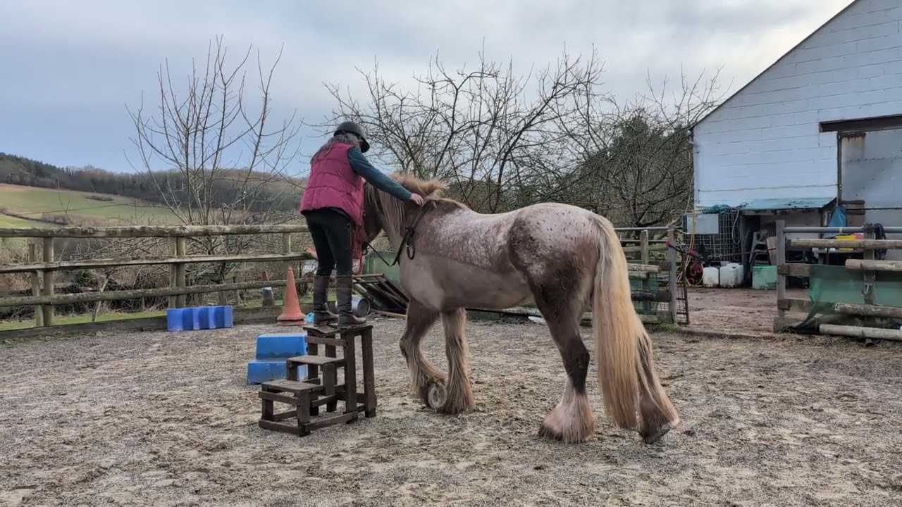 Equagility Jan 25