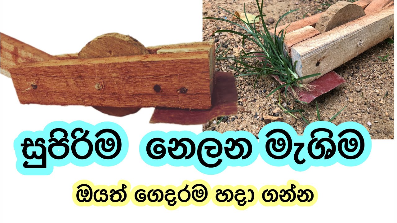 දවසට අක්කරයක්  නෙලන්න පුලුවන්  සුපිරි මැශිම  ඔයත් හදන්න | thuru tv