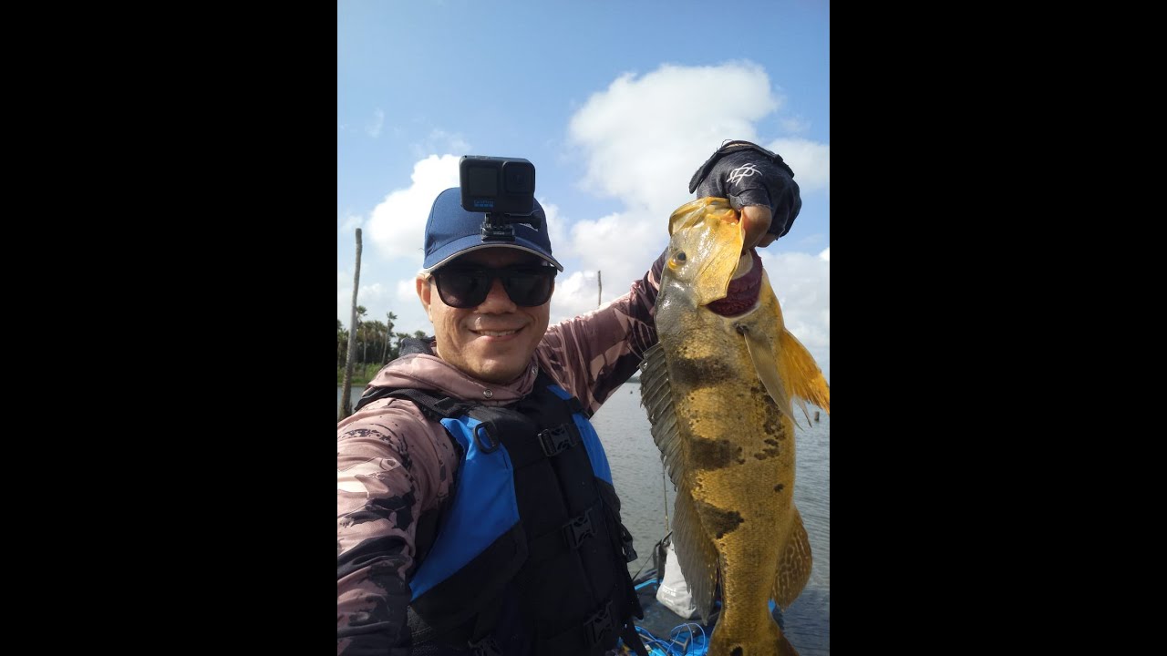 Estreia da Carretilha VT10 com Captura de Tucunaré Gigante!