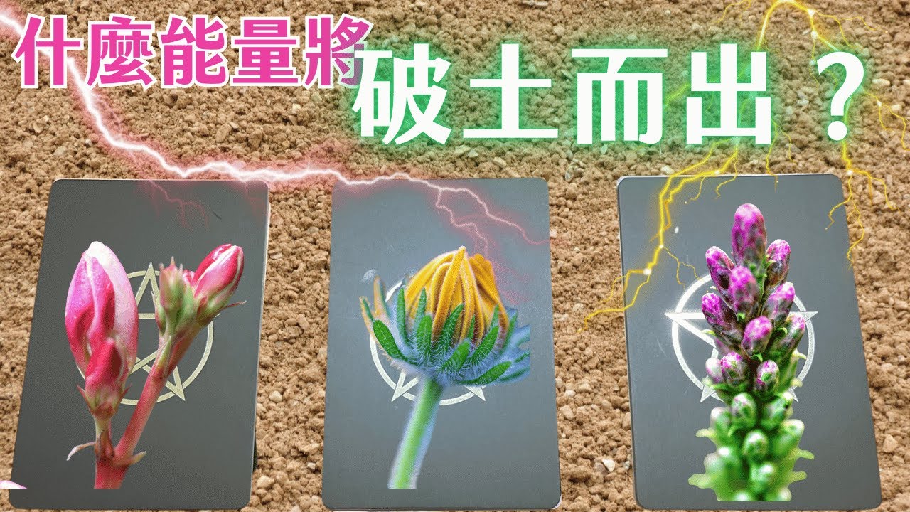 【生命力甦醒】🌱🌱什麼能量將破土而出？☘️☘️｜靈魂成長｜塔羅神諭牌卡畫畫解讀｜無時間限制