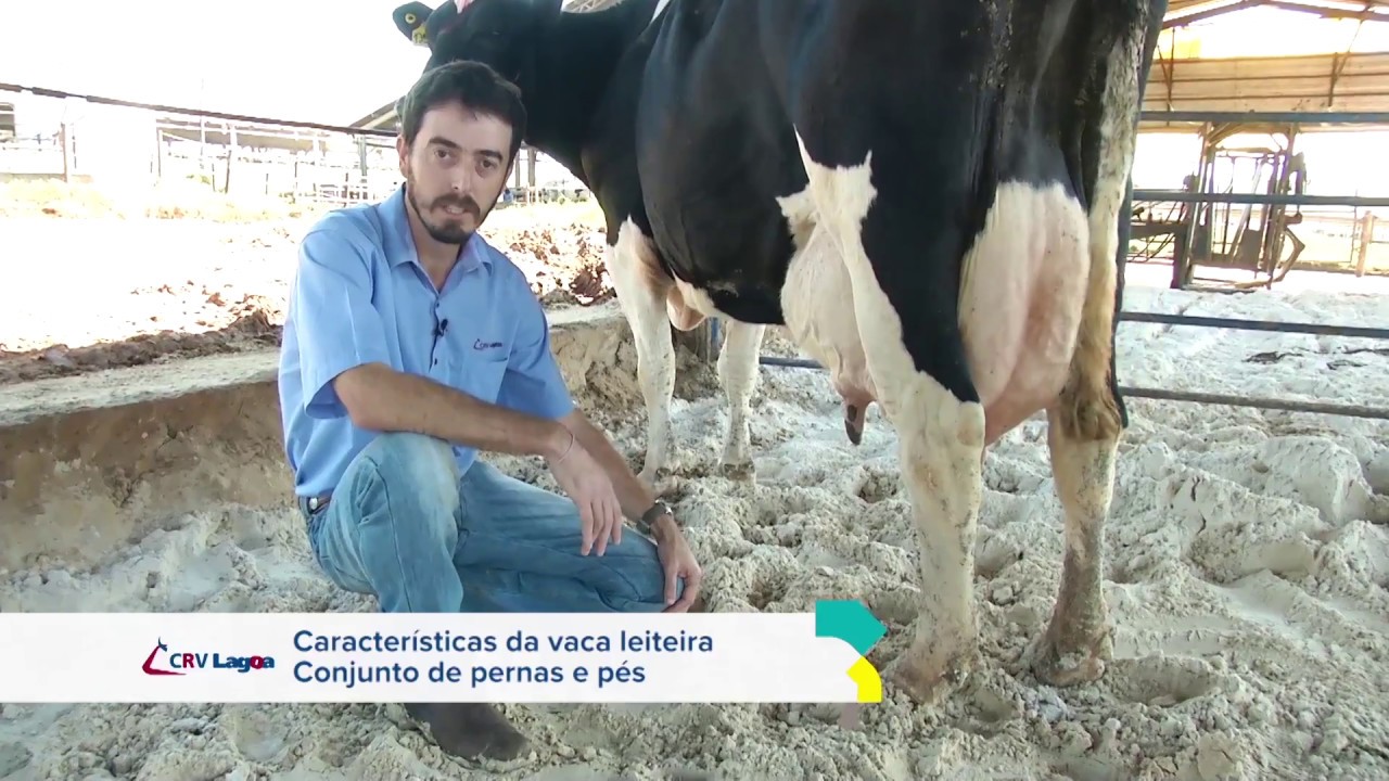 Dicas CRV Lagoa - Conjunto de pernas e pés (Dica 04 de 04)
