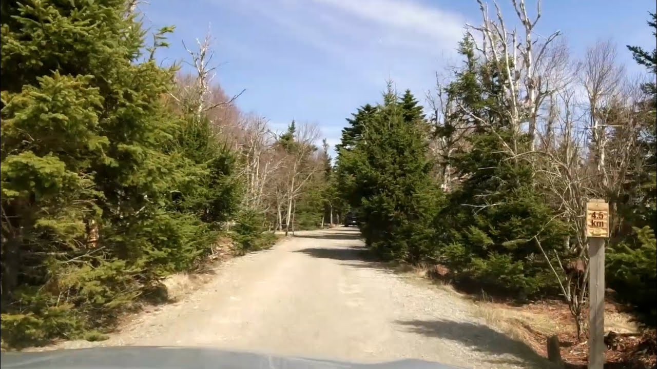 Driving in Irving Nature Park, Saint John, NB, Canada | April 2022
