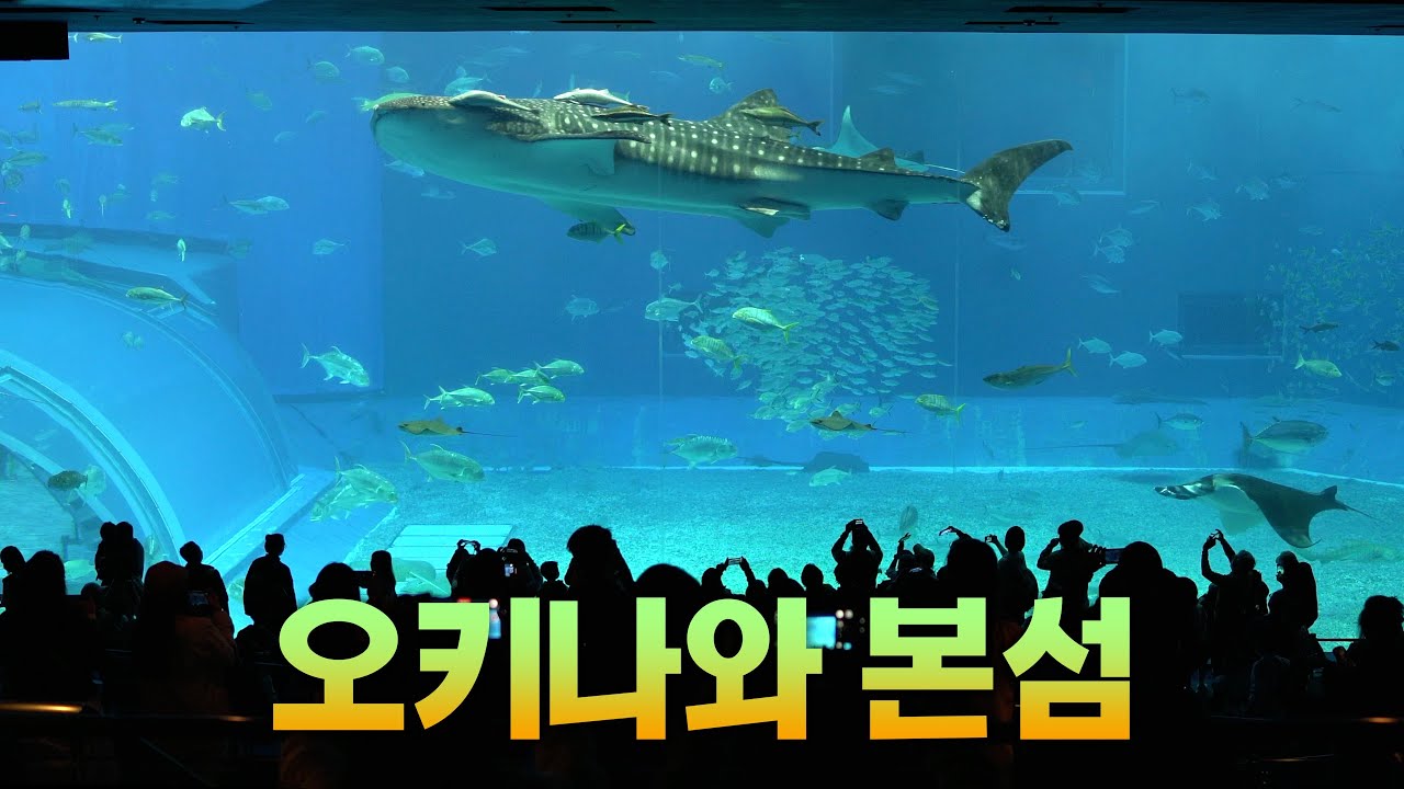 사계절 언제가도 즐길거리 확실한 오키나와 본섬 총정리 【오키나와 3편】